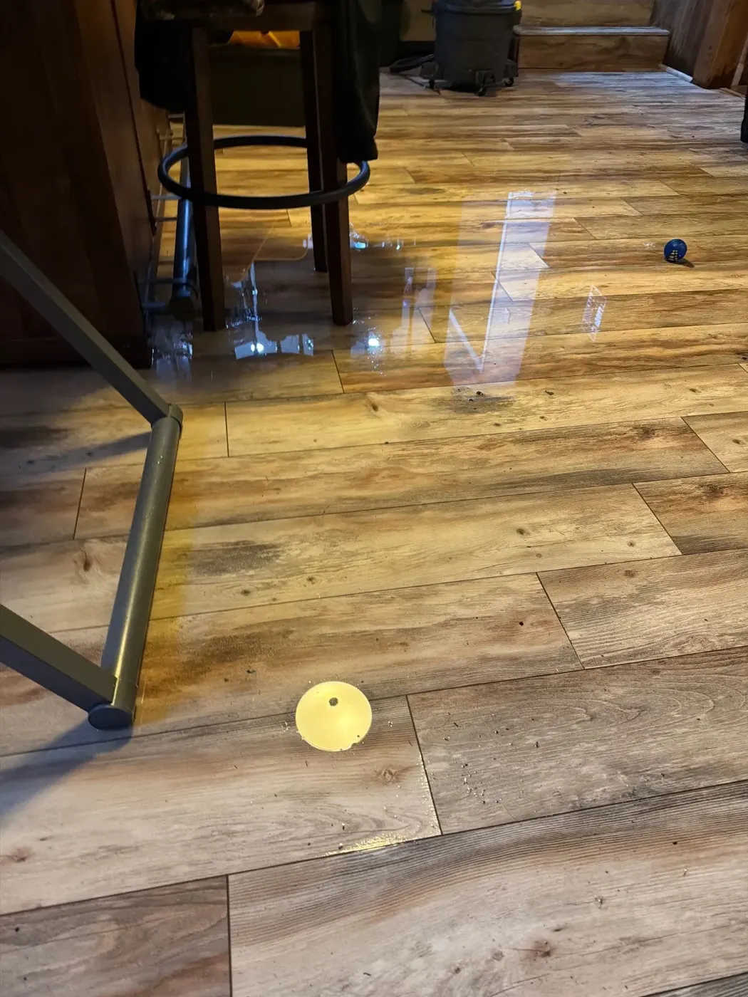 Thermal imaging during water damage assessment in Hidden Lake residence
